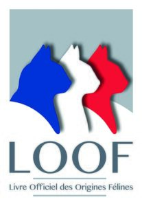 Logotype LOOF