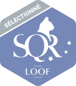 Loof sélectionné SQR