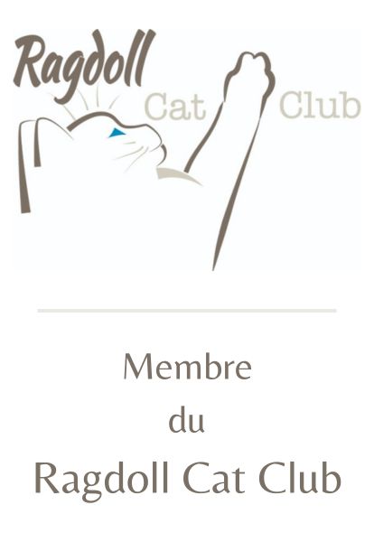 Membre du Ragdoll Cat Club