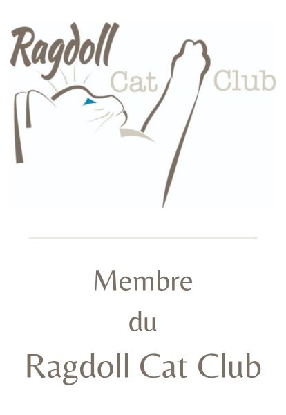 Membre du Ragdoll Cat Club